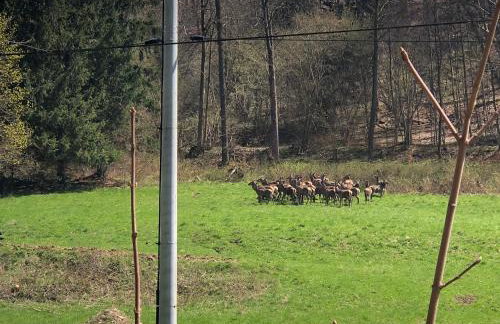 Apartamenty ARNIKA - Foto 57