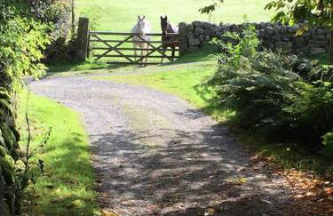 The Stables at Rocking Stones - Foto 9