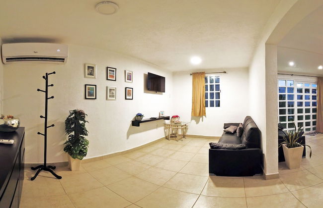 HominngBird - Foto 70