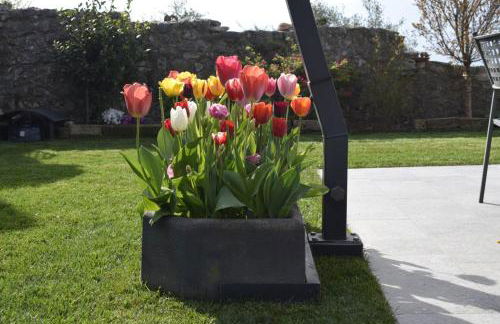 Appartamento Anna - Foto 30