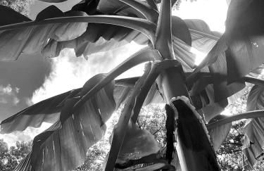 Secluded Watertree Tiny House near Old Hickory Lake – Private Deck, Trails & Breakfast - Foto 72