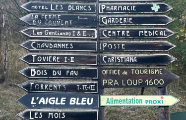 Studio terrasse sud vue montagnes Pra Loup 1500 - Foto 27