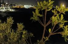 Matosinhos -Seas Apartment- Cabo das Marés - Foto 44