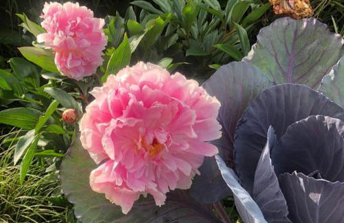 Little Linney - Sleeps 2 - Garden - Wifi - Parking - Photo 66