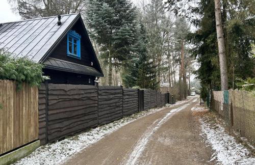 Niezapominajka - Foto 70