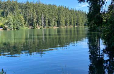 Harzpur Lodge - Pure Entspannung in purer Natur - Foto 71