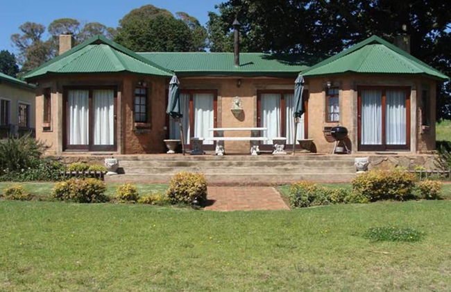 Fox and Squirrel - Foto 1