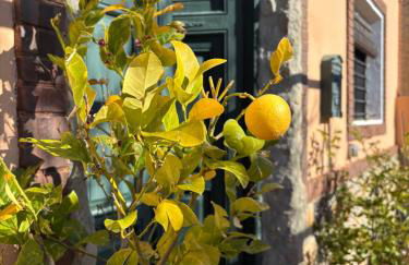 Casa Rural con encanto Señorio Manchego ALBACETE - Foto 22