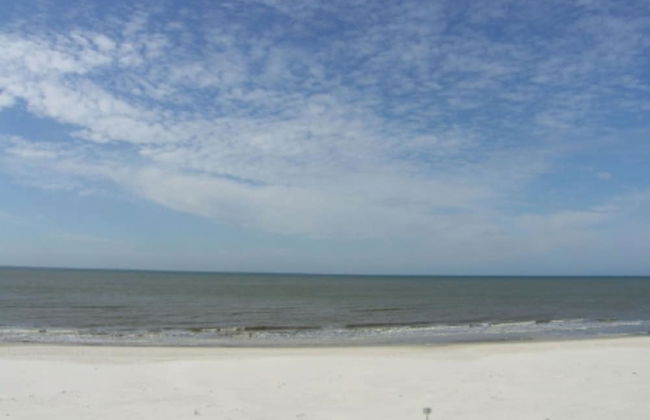 Stella Luna - Foto 77