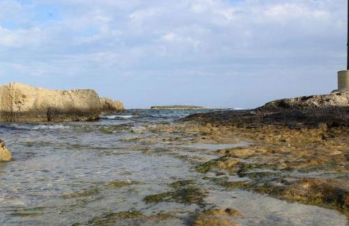 Villa IGMA - Foto 70