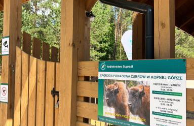 Dom Kozia Górka - dom w sercu Puszczy Knyszyńskiej, dostępna bania z jacuzzi za dodatkową opłatą - jacuzzi available for an extra fee - Foto 32