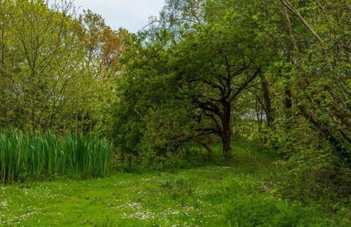 Chalet Lodge 2 - Hot Tub by Interhome - Foto 37