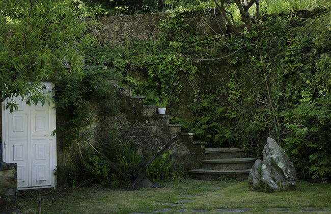 Casa de Turismo Rural Os Petroglifos - Photo 45