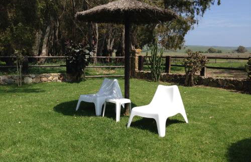 Molino El Mastral - Photo 43