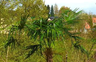 Ferienwohnung „Am Gnaucks Hutberg“ - Foto 72