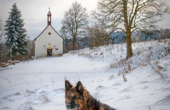 Apartament Villa Clara - Foto 29