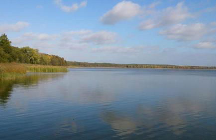 Ferien am Goldberger See - Foto 1