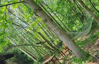 Cisza i Las - Dom na wyłączność, Prywatny Las, 2 pokoje, Polanica Zdrój - Foto 13