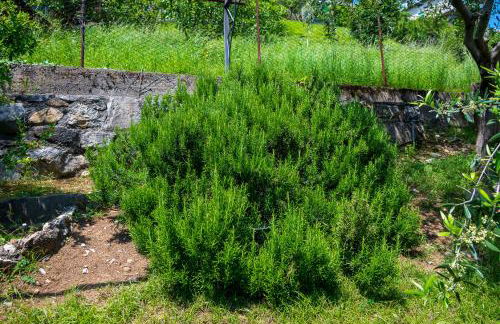 Italian Vacation Homes - Garden Lake Iseo - Foto 48