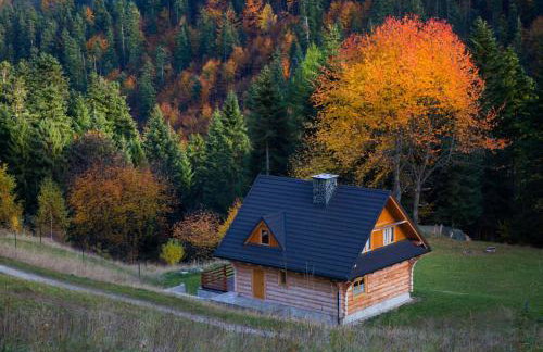 Chata na Kowalówkach - domek w górach - blisko szlaków i wyciągu - Foto 47
