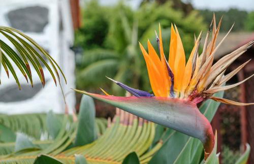 Finca La Sorriba - Foto 38