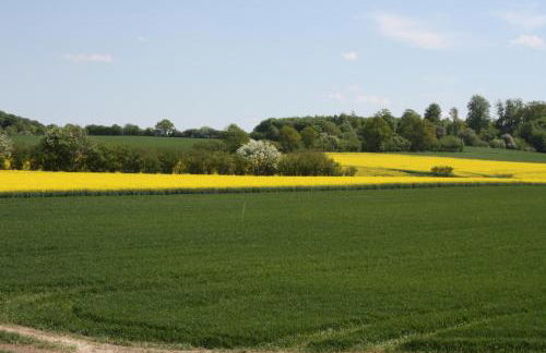 Familienfreundliche Ferienwohnung am Reuterteich - Foto 31