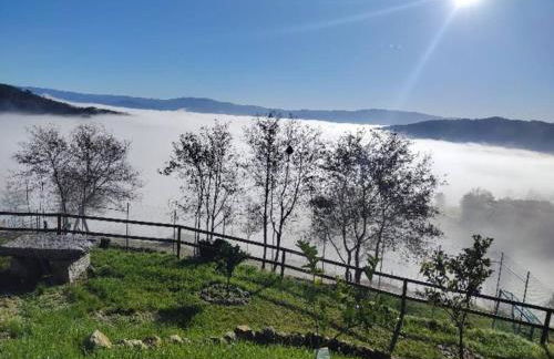 A Casa da Japoneira CB - Foto 39