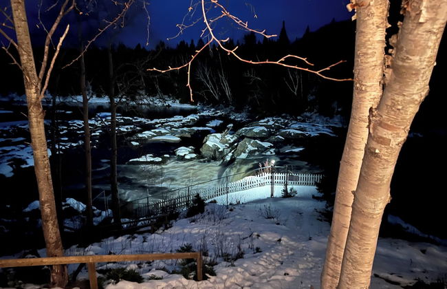 Indian Falls Chalets - Photo 79