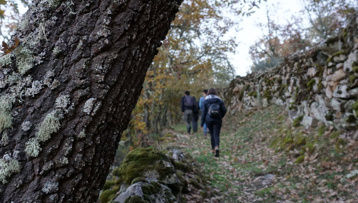 Senderismo por Vilar Maior - Foto 1, Senderismo por Vilar Maior