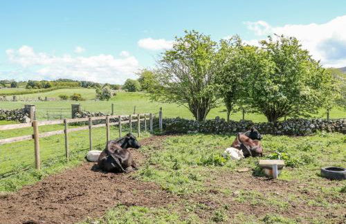 Willow Tree Farm House - Foto 34