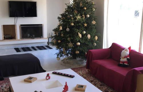 Legrena Beach Villa - Foto 43