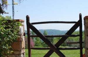 Country House Montecchio - Foto 15