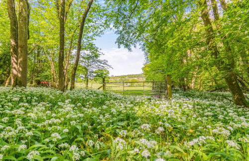 Cedar Lodge - Foto 37