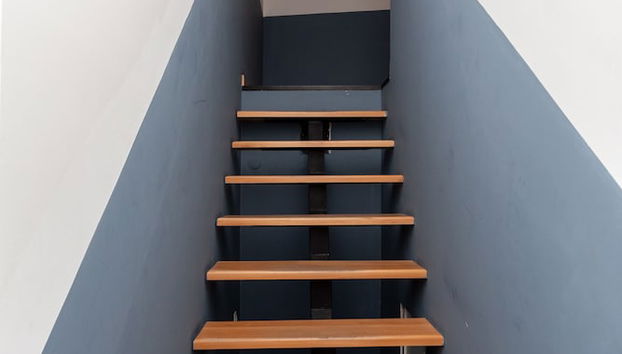 Shota Rustaveli Aparthotel - Foto 3, Recepción