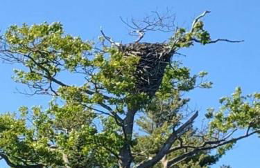 Lake Cabin Ideal for Outdoor Adventures in Maine - Foto 75