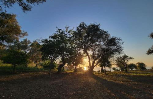 Appartamento Rosmarino - Foto 30