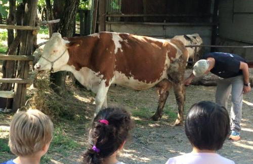 AGRITURISMO Da Baffone - Foto 10