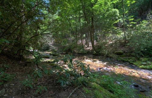 Black Bear Cabin by Carolina Mornings - Foto 36
