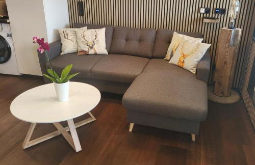 Apartment Fabelwald Black Forest - Foto 21