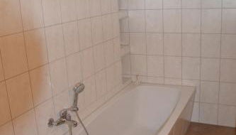 Adebarsoase - Foto 4