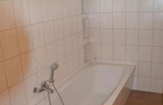 Adebarsoase - Foto 4