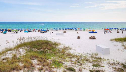 Silver Dunes D204 Surfin on Sunshine - Foto 5