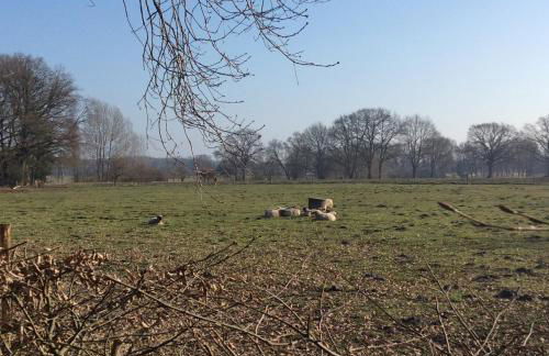 Am Kräutergarten - Foto 21