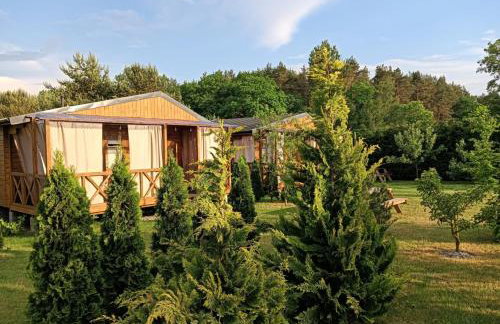 Słoneczny domek - Photo 7