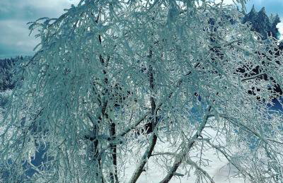 Beskidzki Zakątek Krynica-Zdrój - Photo 48