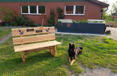 Biolandhof Dorn Highlander vom Elbdeich - Foto 6