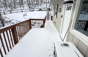 Paws at the Peak - Foto 19