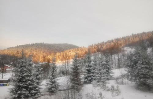 Dom "Honorat", Kamianna 70, 33-336 - Photo 15