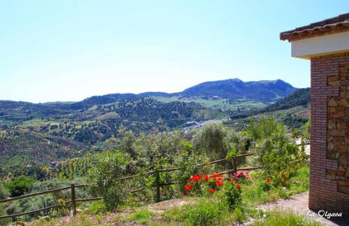 La Olgava - Foto 5