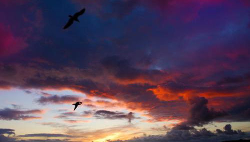 Miracies Vigo - Foto 3